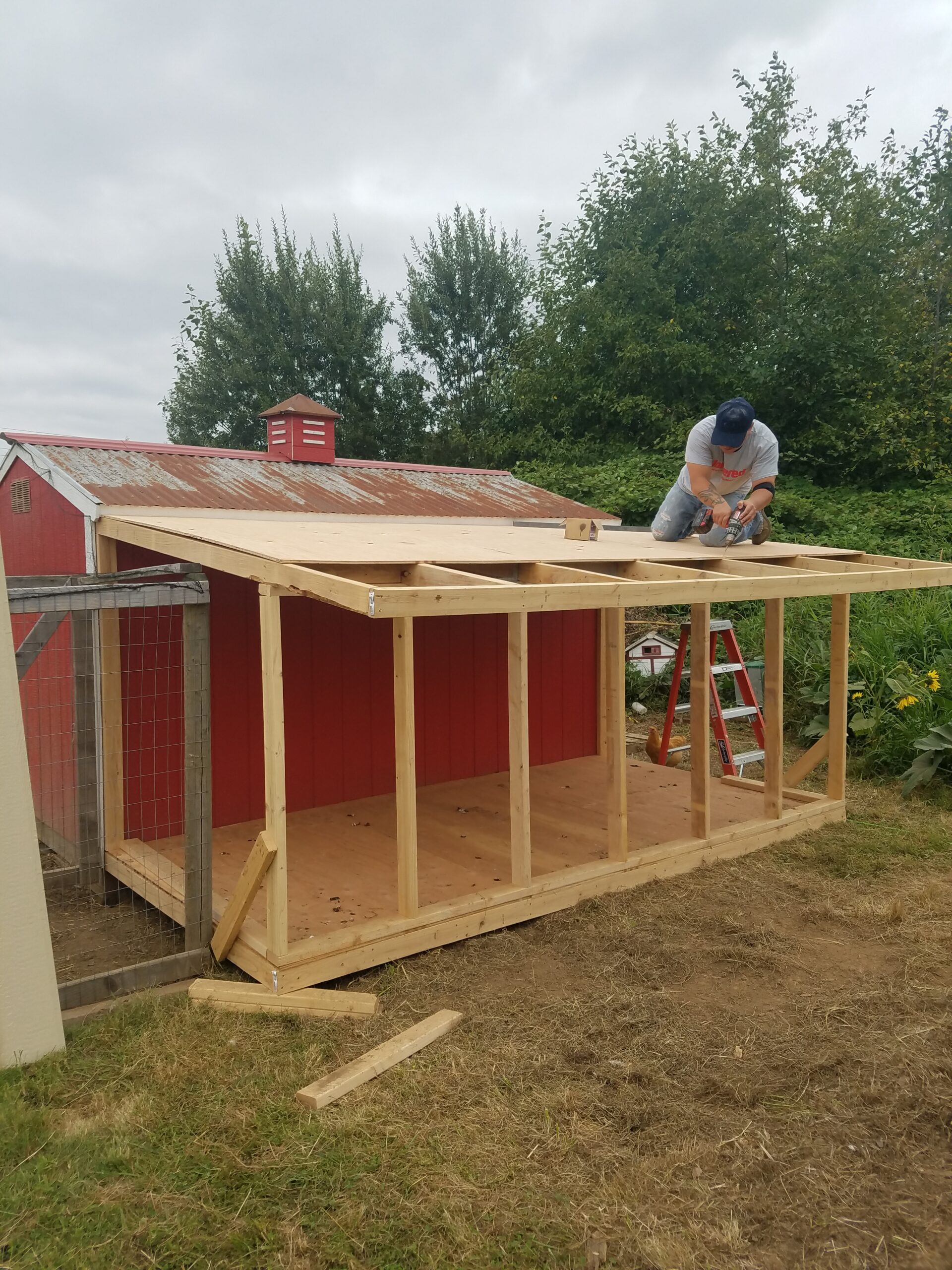 Chicken Coop Addition Complete with a Tin Roof Simple Life in the Country