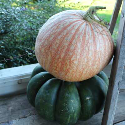 Fall Front Porch:  Using Unique Natural Items from the Nature