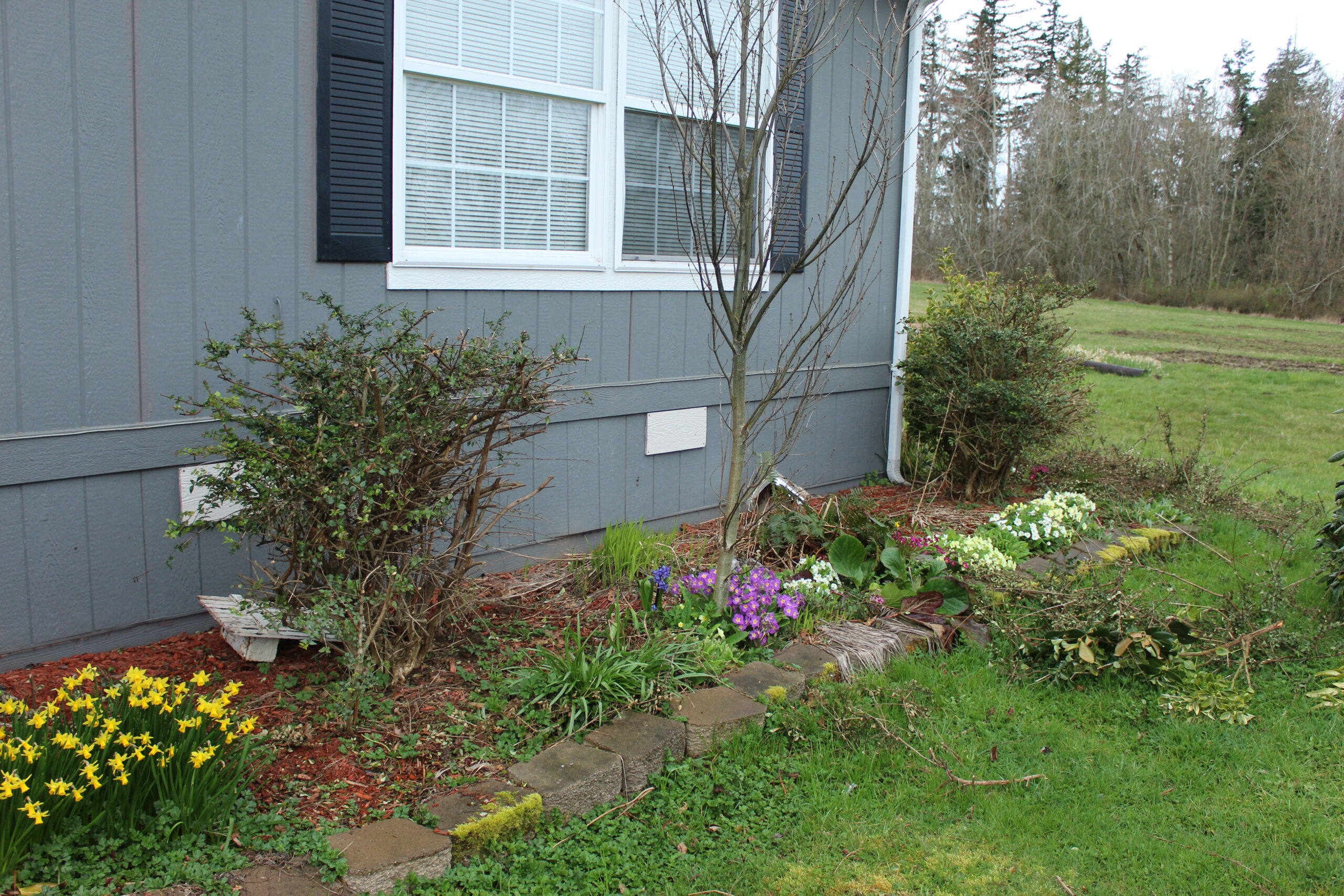Trimming Bushes & Cleaning Out Flower Beds Simple Life in the Country
